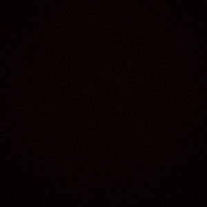 Meet your Posher, Shaylie